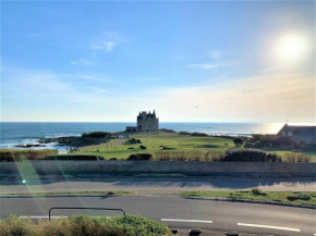 Quiberon - Studio 33m² proche centre avec parking et animaux acceptés - FR-1-478-96